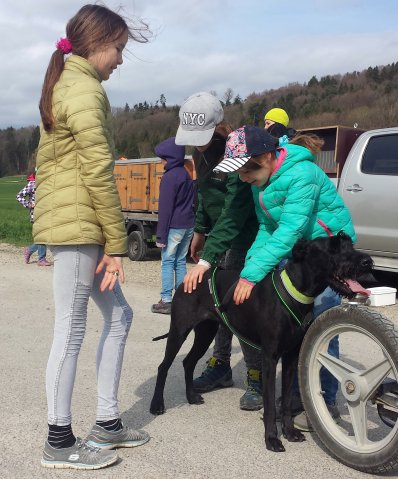 Ferienpass Mühlheim 2018 in Pfyn